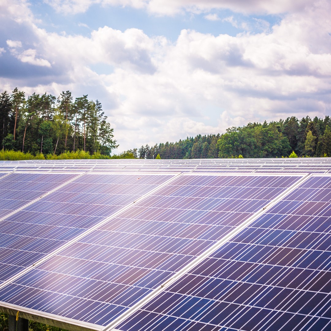 Photovoltaik in Polen – eine rasante Entwicklung - IBC SOLAR Blog